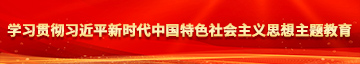 骚肥婆骚奶子学习贯彻习近平新时代中国特色社会主义思想主题教育